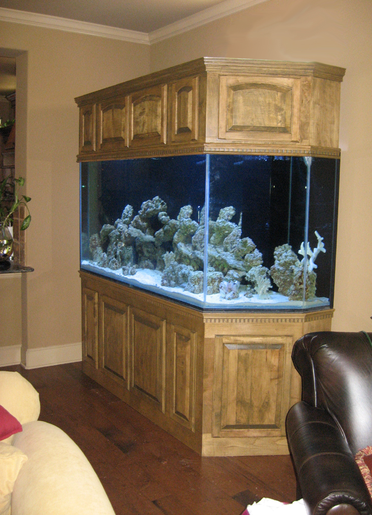  Aquarium  Cabinet 